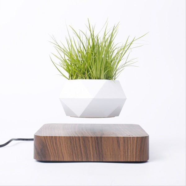 floating bonsai tree for sale Levitating Air Bonsai Pot Rotation Flower Pot Planters Magnetic Suspension Floating Pot Potted Plant Home Decor SPAIN / Walnut base / AU Plug