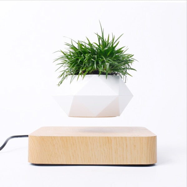 Levitating Air Bonsai Pot: Magnetic Floating Flower Pot for Home Desk Decor