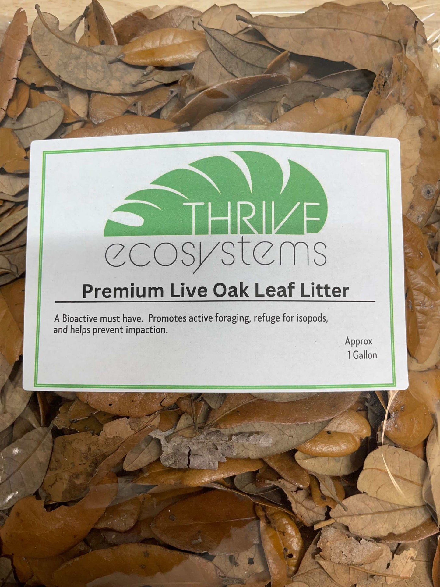 Live Oak Leaf Litter โ Natural Ground Cover for Bioactive Terrariums & Vivariums