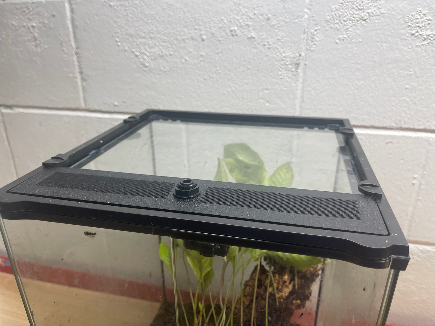 Custom Replacement Top for 12" Exo Terra Terrariums – Humidity Retaining with Fly-Proof Ventilation