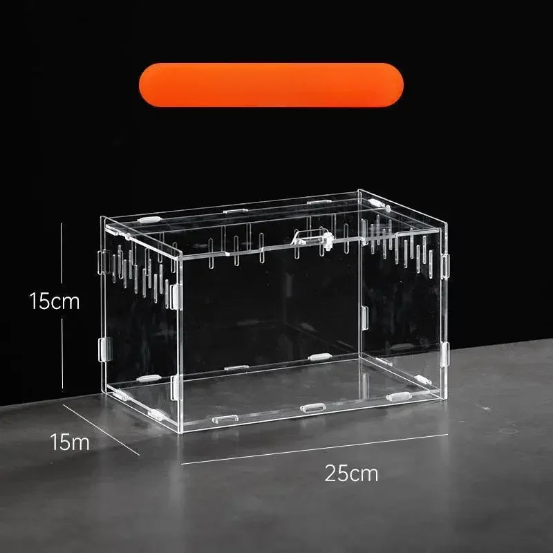 Clear Acrylic Terrarium – Mini Habitat for Insects & Small Pets