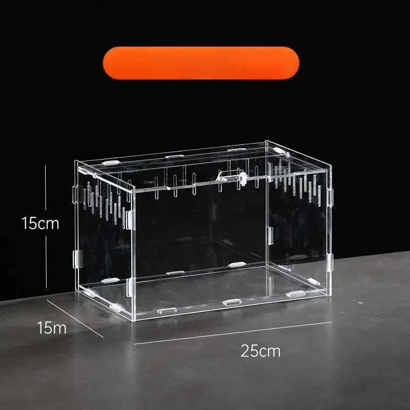 Clear Acrylic Terrarium – Mini Habitat for Insects & Small Pets