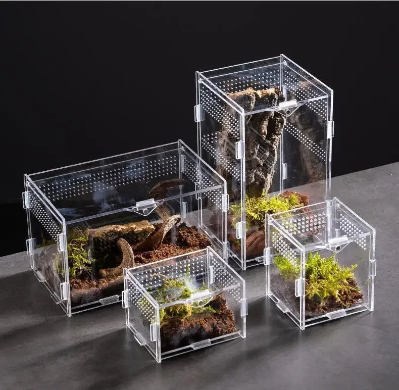 Clear Acrylic Terrarium – Mini Habitat for Insects & Small Pets
