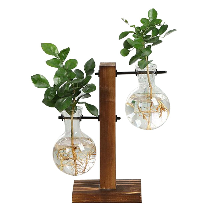 Vintage Terrarium Hydroponic Plant Vases: Transparent Glass with Wooden Frame for Home Bonsai Decor