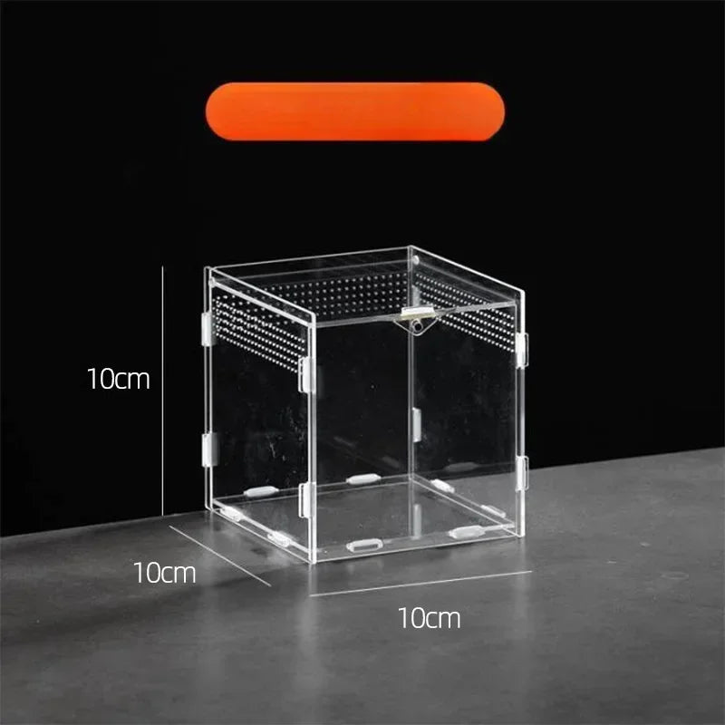 Clear Acrylic Terrarium – Mini Habitat for Insects & Small Pets