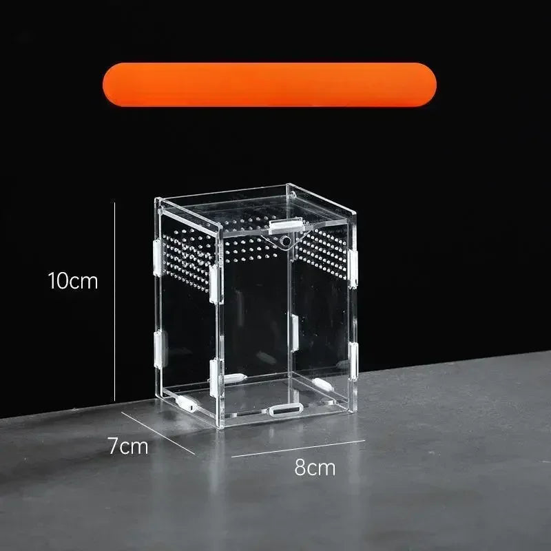 Clear Acrylic Terrarium – Mini Habitat for Insects & Small Pets