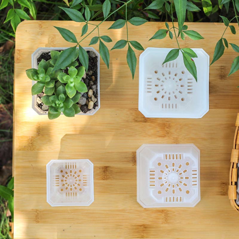 Square Planter for Succulents & Orchids - High-Quality Nursery Plastic - Home Desktop Deco