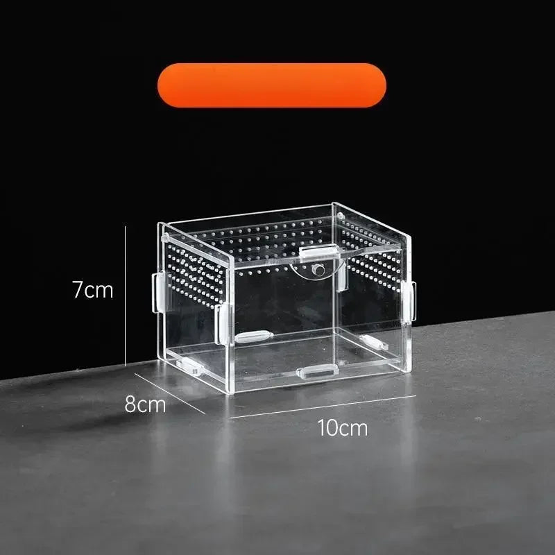 Clear Acrylic Terrarium – Mini Habitat for Insects & Small Pets