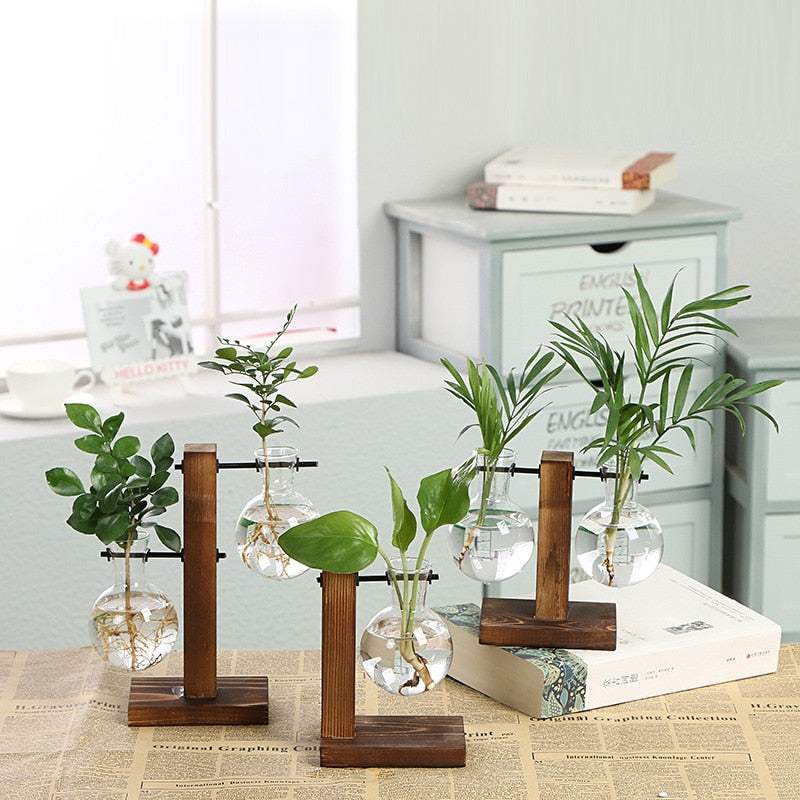Vintage Terrarium Hydroponic Plant Vases: Transparent Glass with Wooden Frame for Home Bonsai Decor