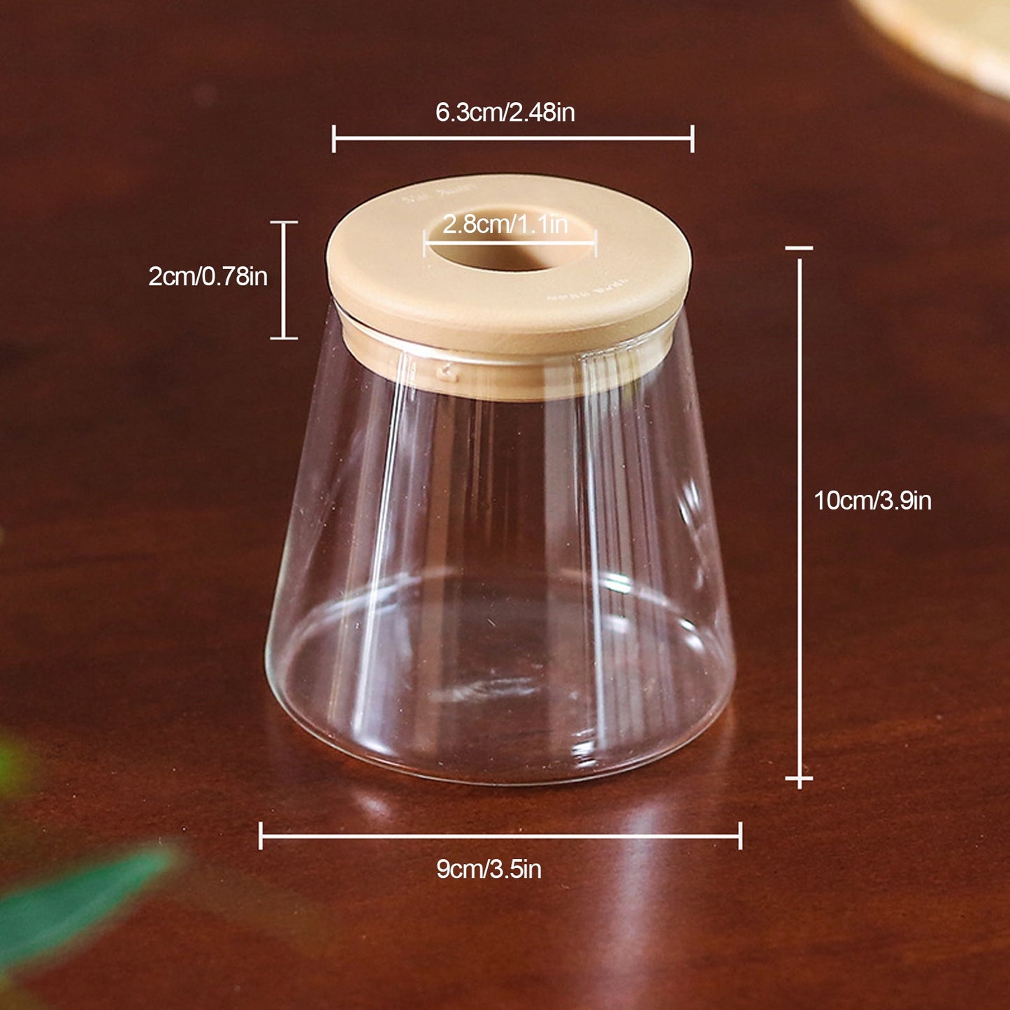 Mini Hydroponic Flower Pot: Transparent Glass Soilless Plant Pot for Home Decoration