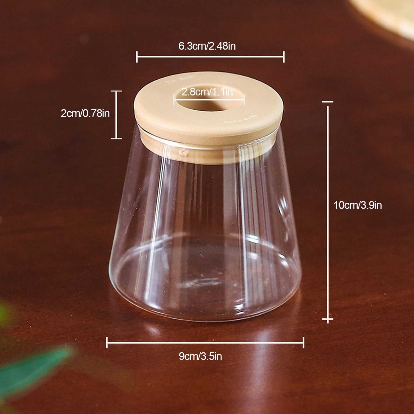 Mini Hydroponic Flower Pot: Transparent Glass Soilless Plant Pot for Home Decoration
