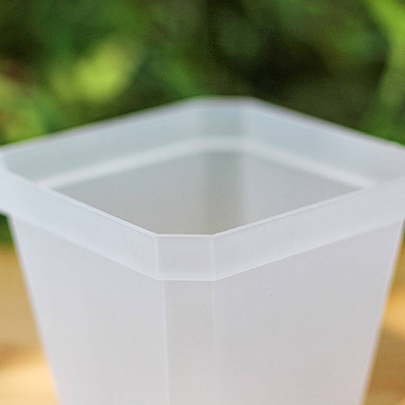 Square Planter for Succulents & Orchids - High-Quality Nursery Plastic - Home Desktop Deco