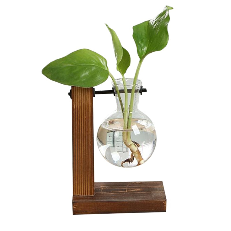 Vintage Terrarium Hydroponic Plant Vases: Transparent Glass with Wooden Frame for Home Bonsai Decor