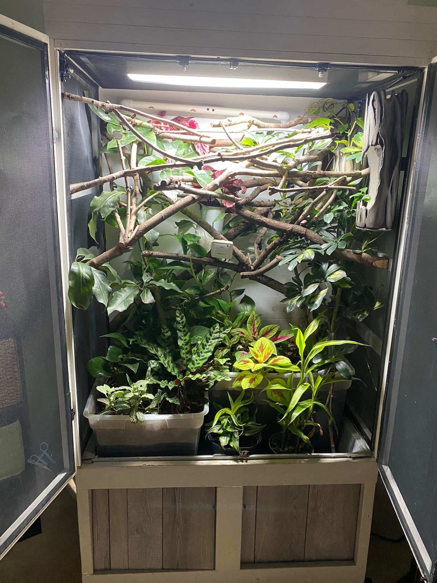 Thrive Ecosystems 24-Inch High Output High CRI Vivarium Light - Full Spectrum LED for Lush Plant Growth and Vibrant Terrariums