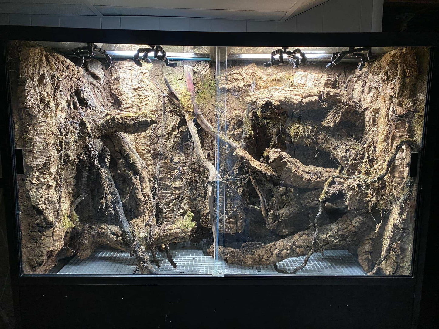 Thrive Ecosystems 12" Double Vivarium Lights