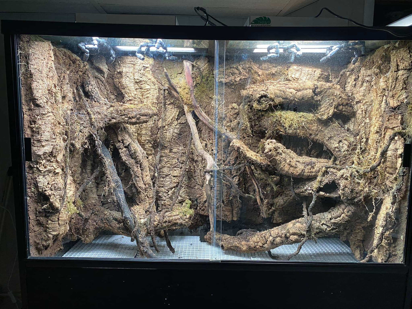 Thrive Ecosystems 12" Quad Vivarium Lights