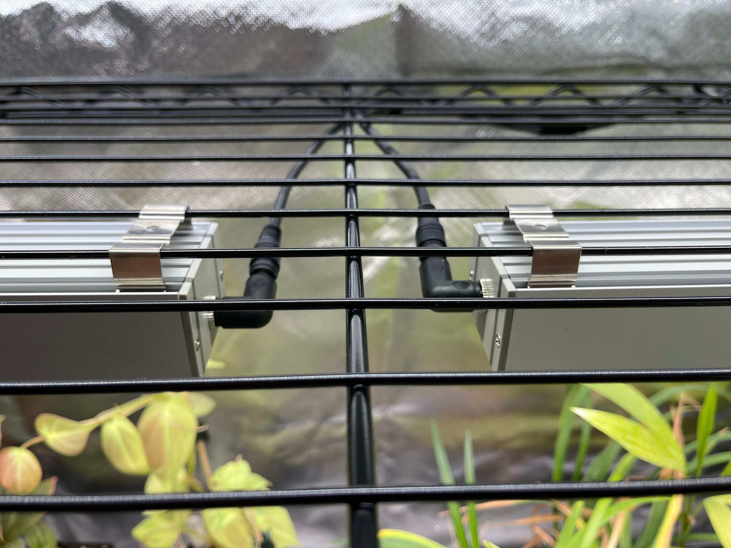 Light Package for Thrive Ecosystems Grow Tent