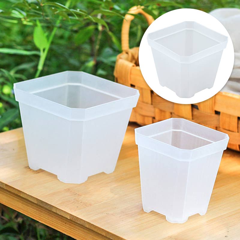 Square Planter for Succulents & Orchids - High-Quality Nursery Plastic - Home Desktop Deco
