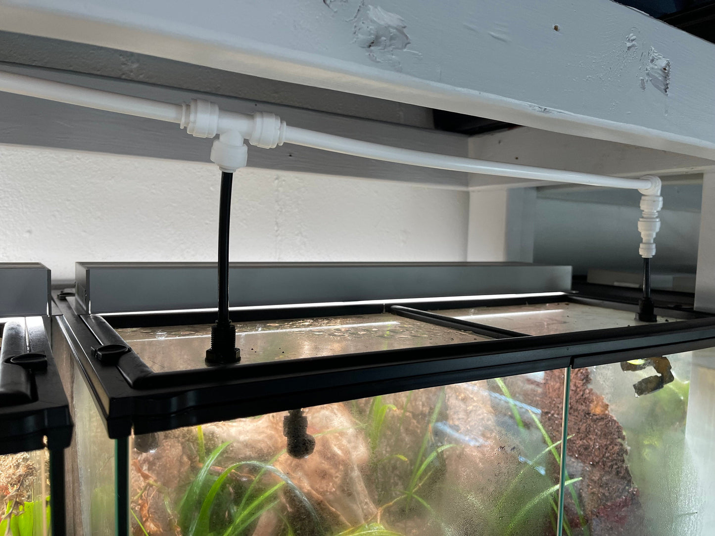 Thrive Ecosystems 24-Inch High CRI Vivarium Light - Full Spectrum LED for Lush Plant Growth and Vibrant Terrariums