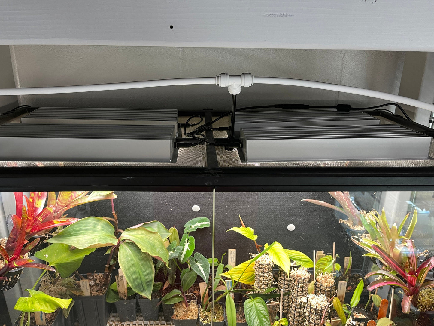 Thrive Ecosystems 12" Quad Vivarium Lights