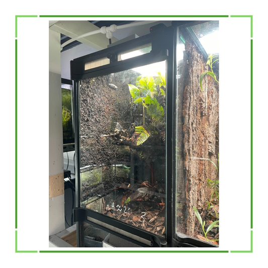 Thrive Ecosystems aquarium conversion kit turned into a crested gecko vivarium