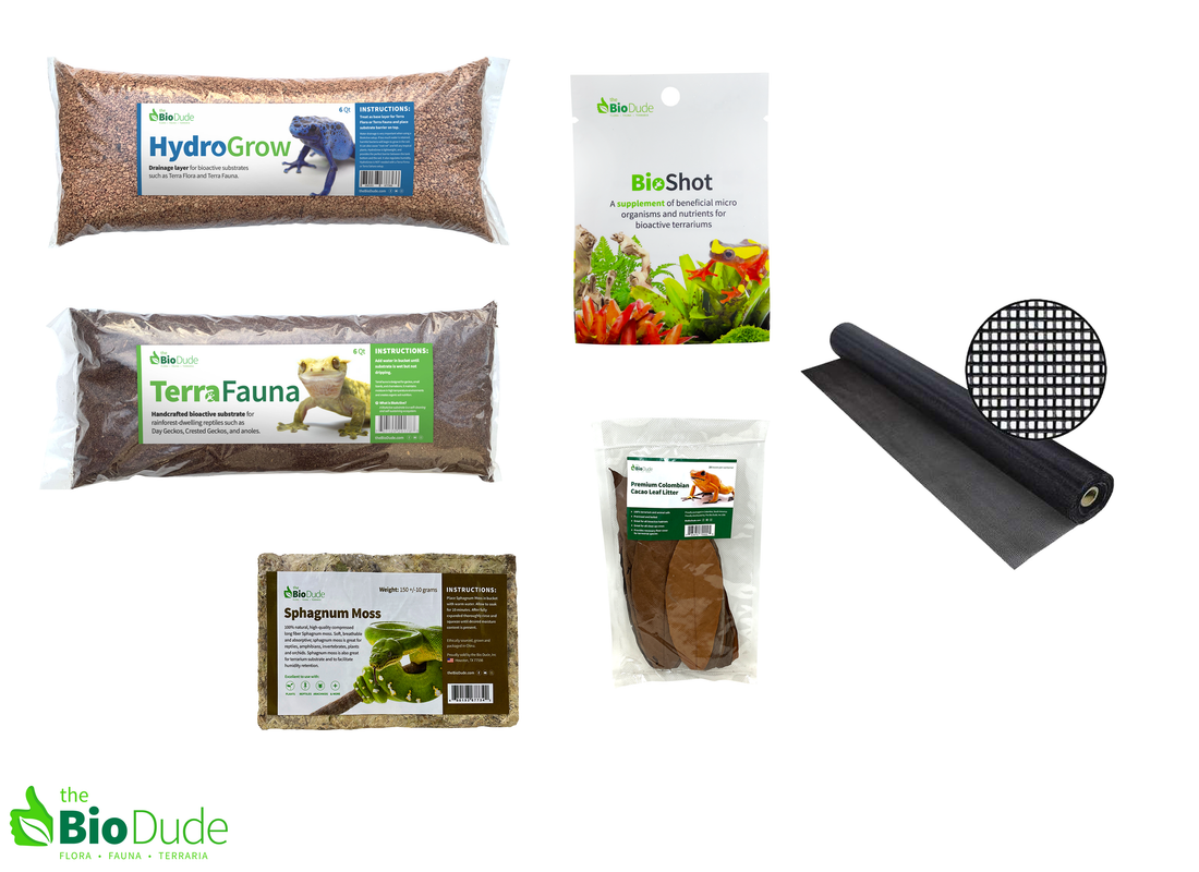 Bioactive vs traditional terrarium setup comparison for reptiles and amphibians