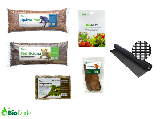Bioactive vs traditional terrarium setup comparison for reptiles and amphibians