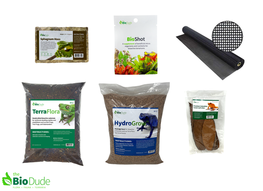 Bioactive dart frog vivarium setup with plants, substrate, and cleanup crew