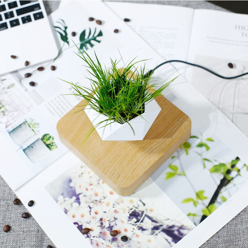 Levitating Air Bonsai Pot: Magnetic Floating Flower Pot for Home Desk Decor