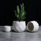 Creative Ceramic Diamond Geometric Flowerpot: Small Succulent Plant Container for Home Decoration