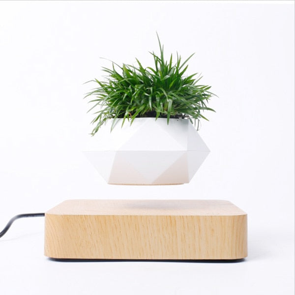 Flote Levitating Air Pot – Floating Plant Pot – Planter for Bonsai or Air Plants – Magic Magnetic Levitation Design – Unique Gift – Minimalist