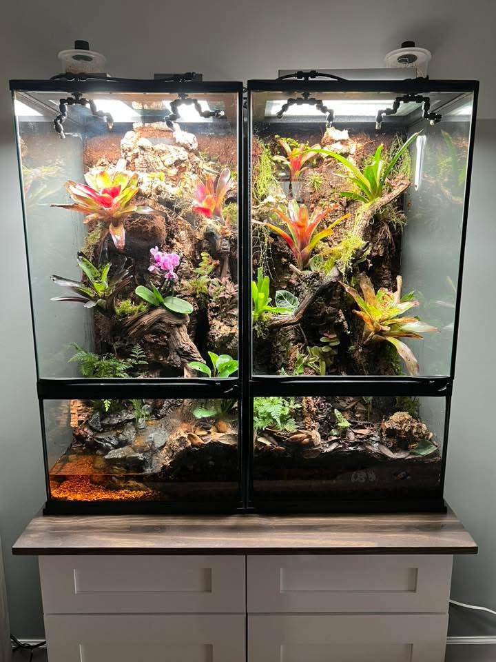 high light terrarium plants Thrive Ecosystems 12-Inch Double High CRI Vivarium Light
