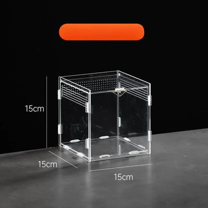 Clear Acrylic Terrarium – Mini Habitat for Insects & Small Pets