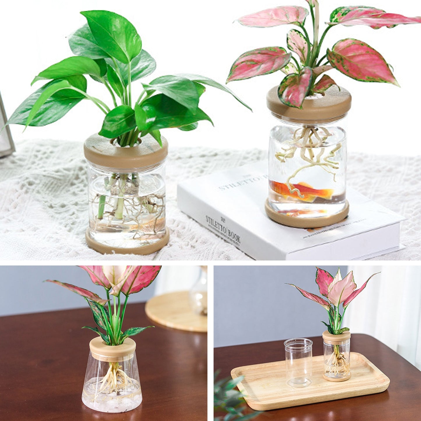 Mini Hydroponic Flower Pot: Transparent Glass Soilless Plant Pot for Home Decoration