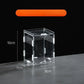 Clear Acrylic Terrarium – Mini Habitat for Insects & Small Pets