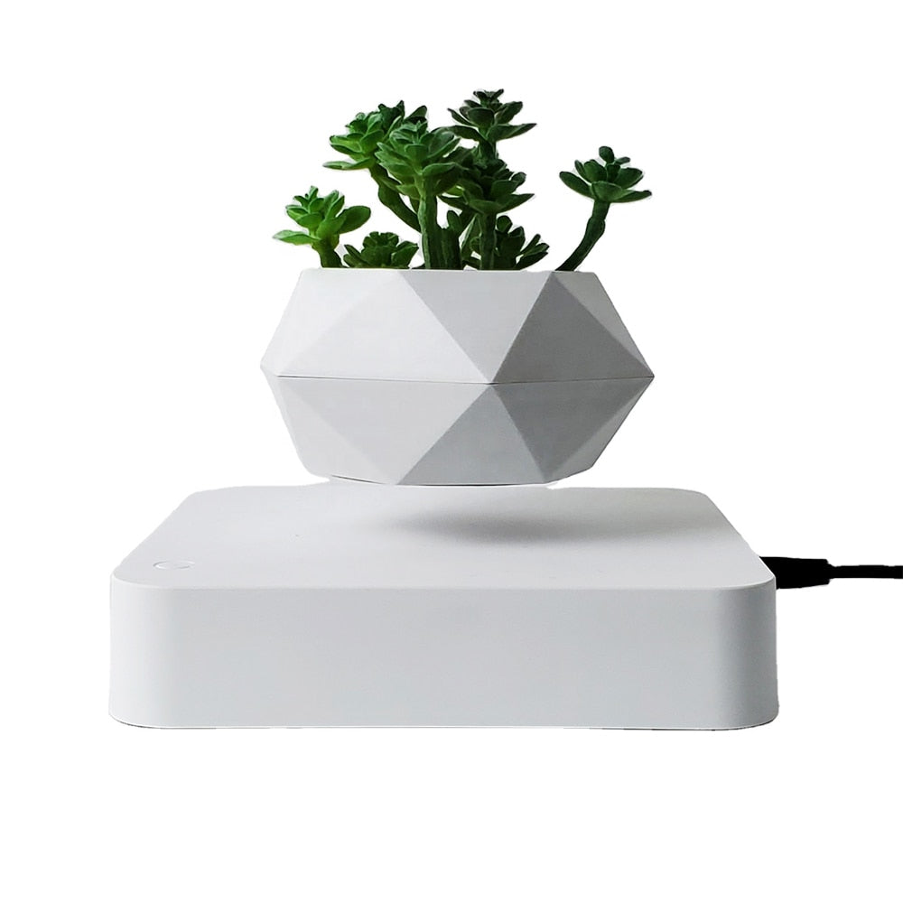  Floating Plant Pot - Levitation Air Bonsai Pot