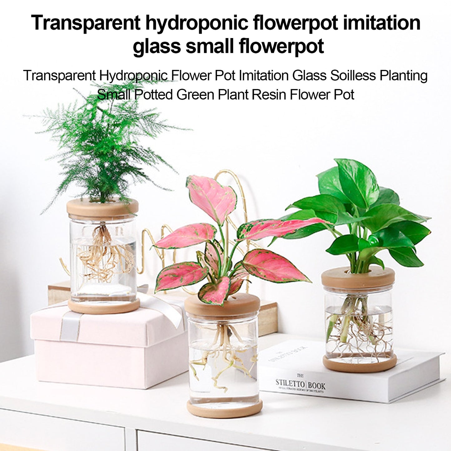 Mini Hydroponic Flower Pot: Transparent Glass Soilless Plant Pot for Home Decoration