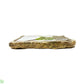 The Bio Dude Compressed Sphagnum Moss Brick 150 Grams