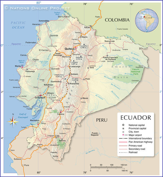 Ecuadorian Biotope Plant Package