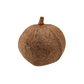 Tingui Pod