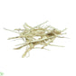 Colombian Botanicals - Sugarcane Bagasse Mulch