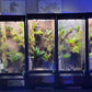 Thrive Ecosystems 12" Quad Vivarium Lights