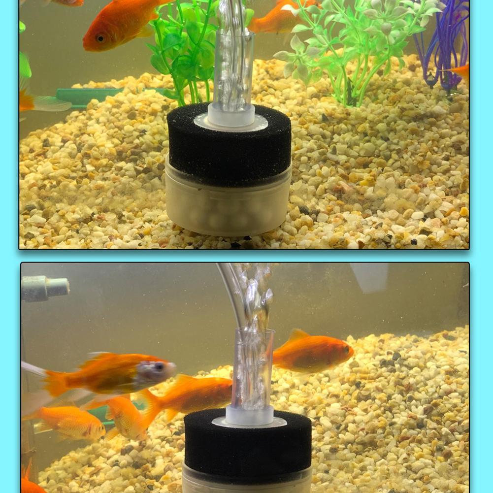 Mini Sponge Filter – Thrive Ecosystems