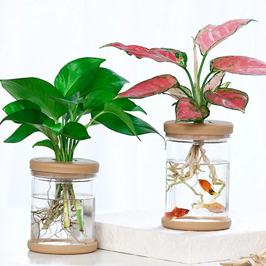 Mini Hydroponic Flower Pot: Transparent Glass Soilless Plant Pot for Home Decoration