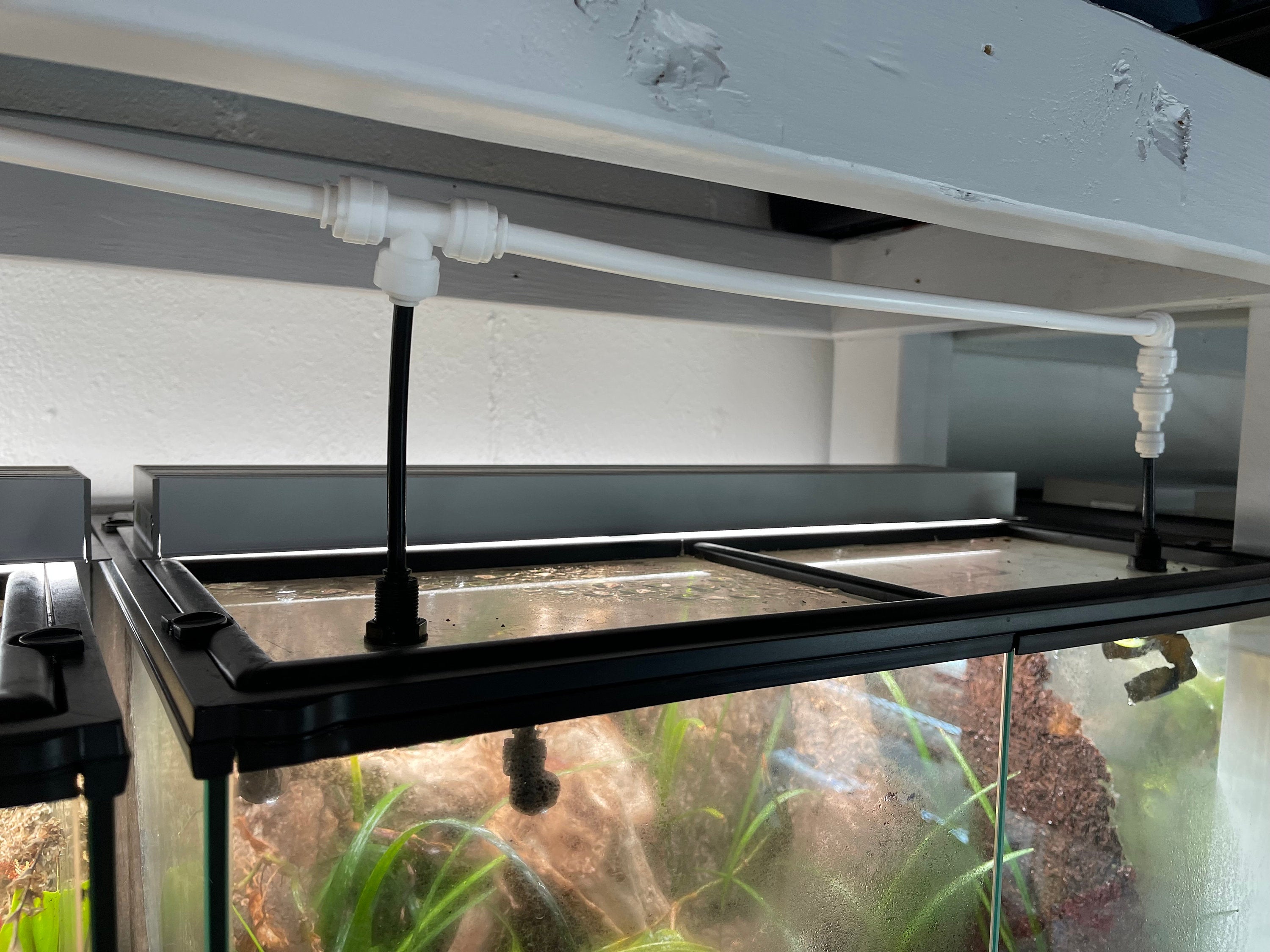 Vivarium store lighting fixtures